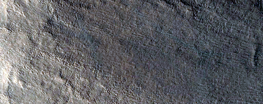 Gully Monitoring