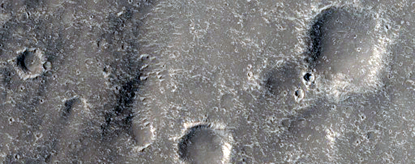 Elysium Planitia