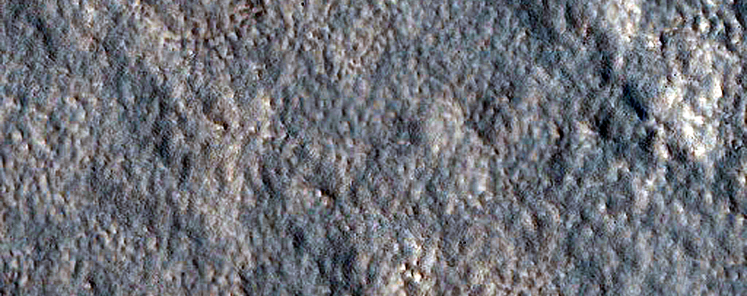 Utopia Planitia Survey