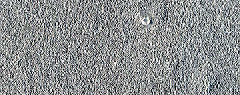 Arcadia Planitia Survey