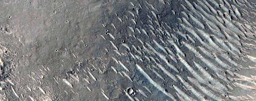 Candidate Recent Impact Site