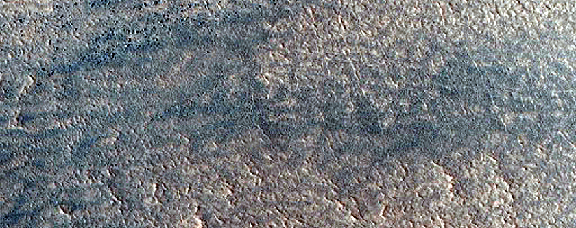 Gully Monitoring