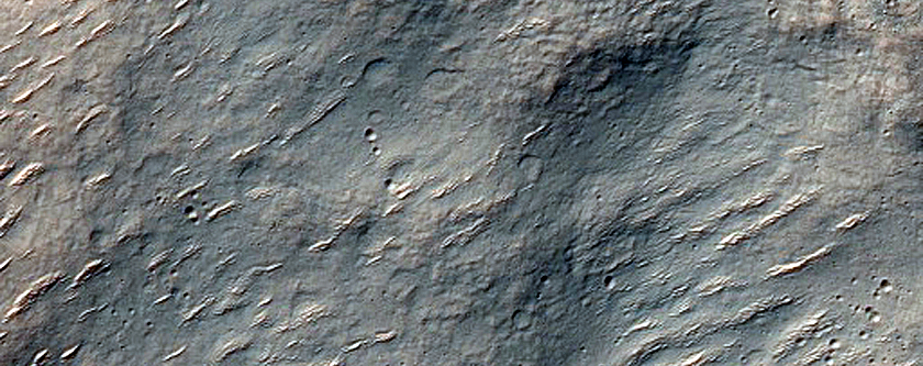 Wrinkle Ridge