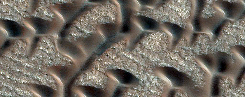 Dunes Shaped Like Ts and Vs