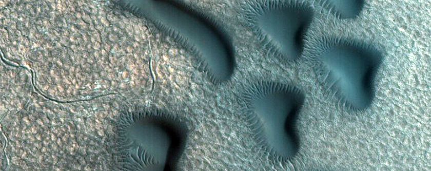 Dune Monitoring in Crater