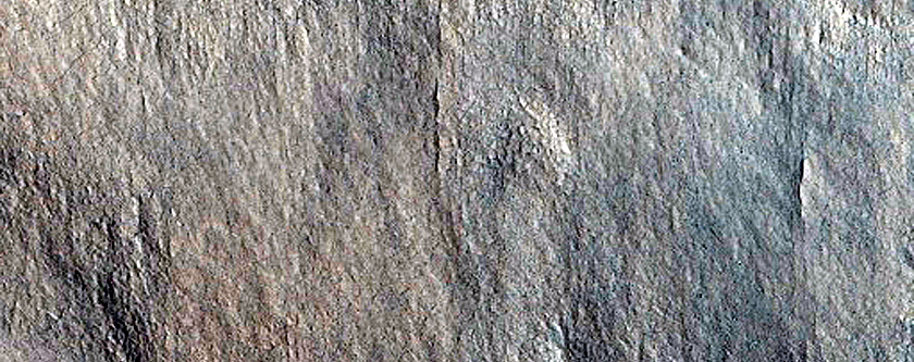 Surficial Landslide or Slip