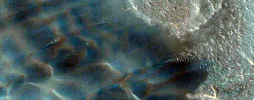 Dunes Dubbed Buzzel
