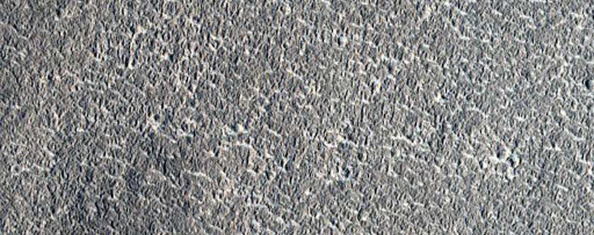 Arcadia Planitia Survey