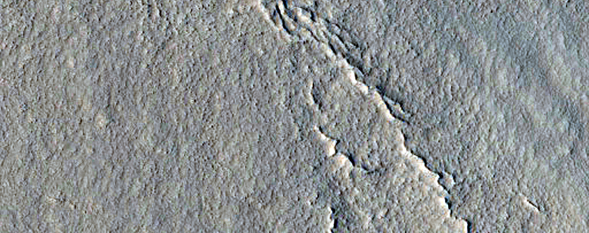 Gully Monitoring