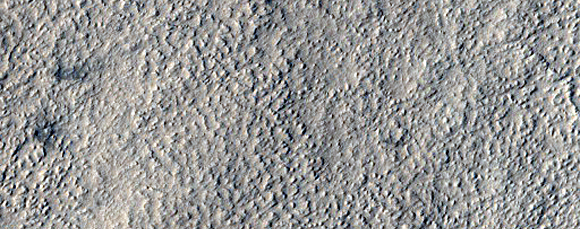 Secondary Craters Associated with Large Fresh Impact in Amazonis Planitia