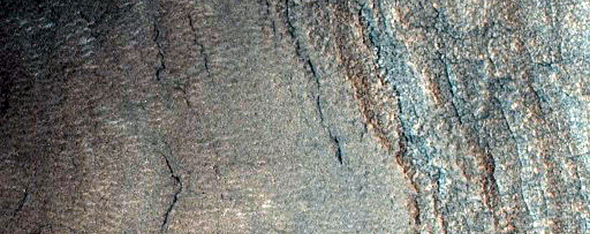 Gully Monitoring