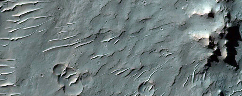 Pitted Material in 23-Kilometer Diameter Crater in Terra Cimmeria