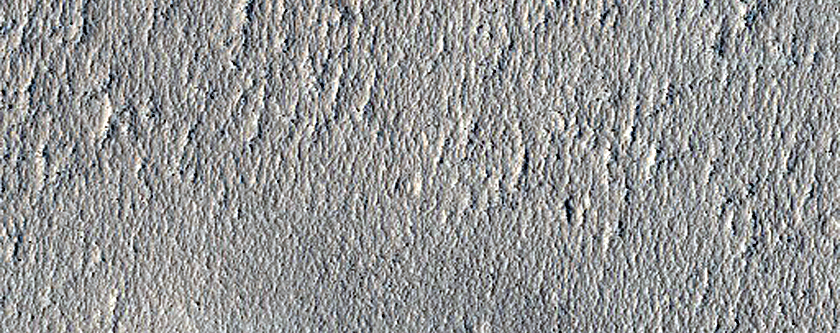 Northern Plains Sample Terrain
