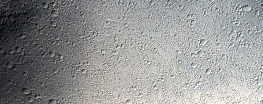 Two Long Runout Landslides with Flow Features
