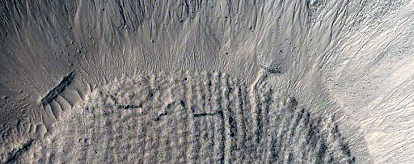 Gully Monitoring