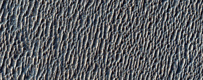 Meridiani Planum