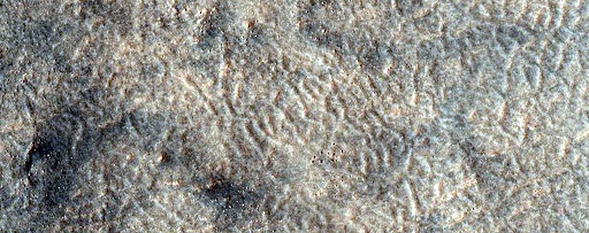 Utopia Planitia