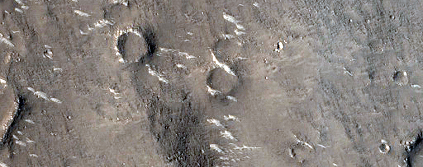Field of Circular Pitted Features near Lobate Contact