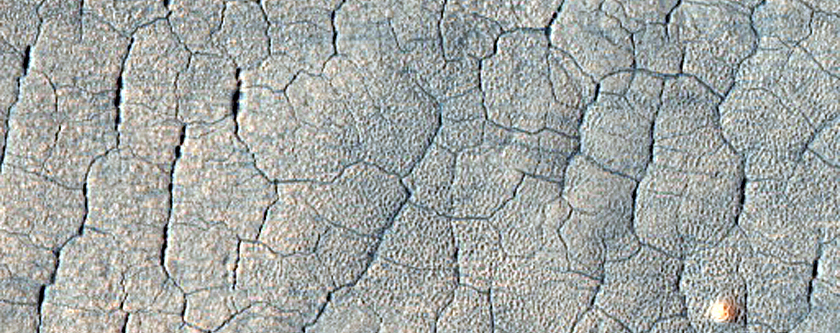 Utopia Planitia Sample