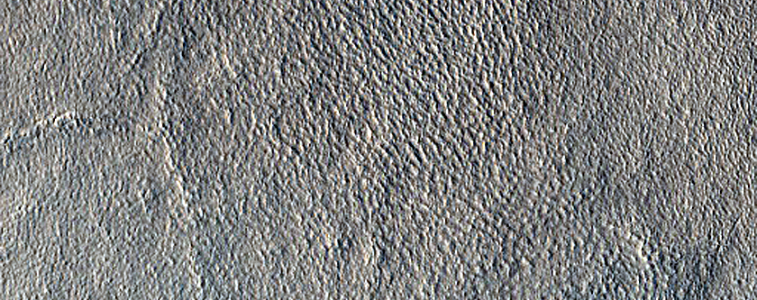 Arcadia Planitia Sample