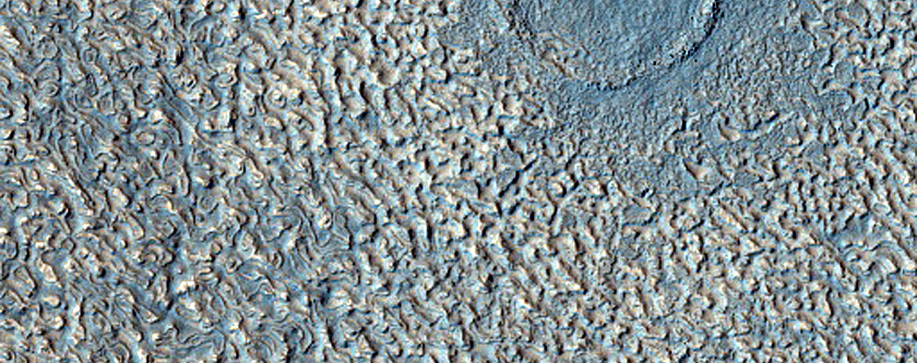 Flow Features in Arcadia Planitia