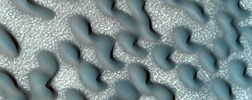 Dune Monitoring Crater