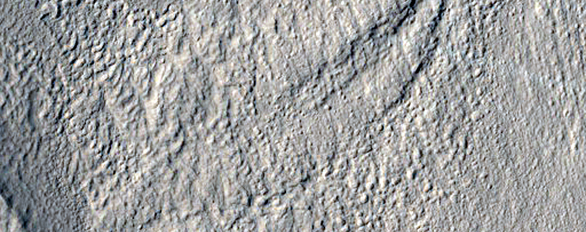 Nilosyrtis Mensae