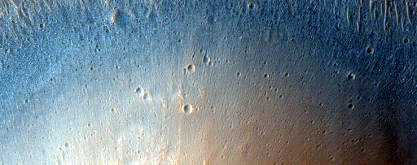 Terrain Sample