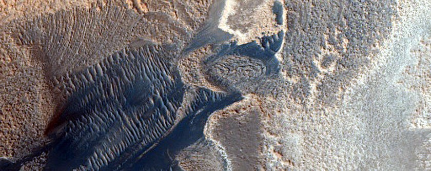 Possible Abalos Mensae Dune Source