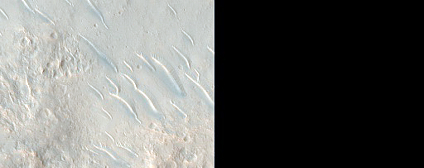 Lobate Structure in Isidis Planitia