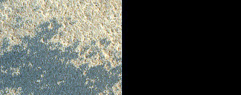 North Polar Contact Area