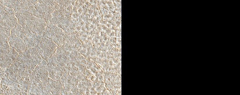 Northern Plains Sample