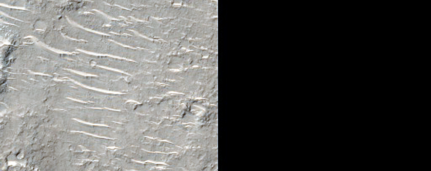 Wrinkle Texture on Crater Floor in Hesperia Region