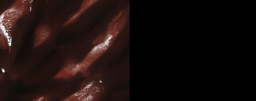 North Polar Dunes