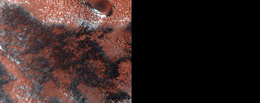 Barchan Dunes in North Polar Layered Deposits