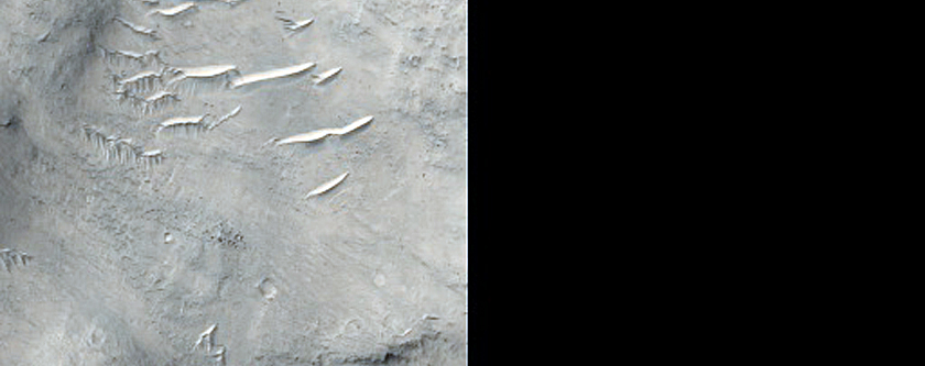 Terrain West of Firsoff Crater