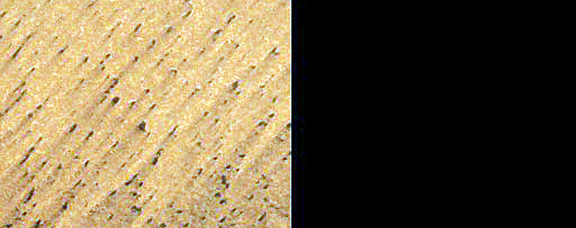 Chasma Boreale Linear Duneforms