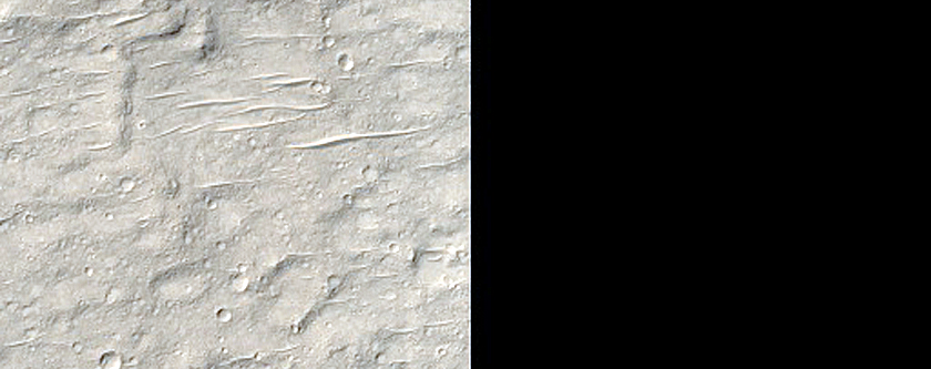 Terrain Sample