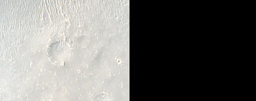 Elysium Planitia
