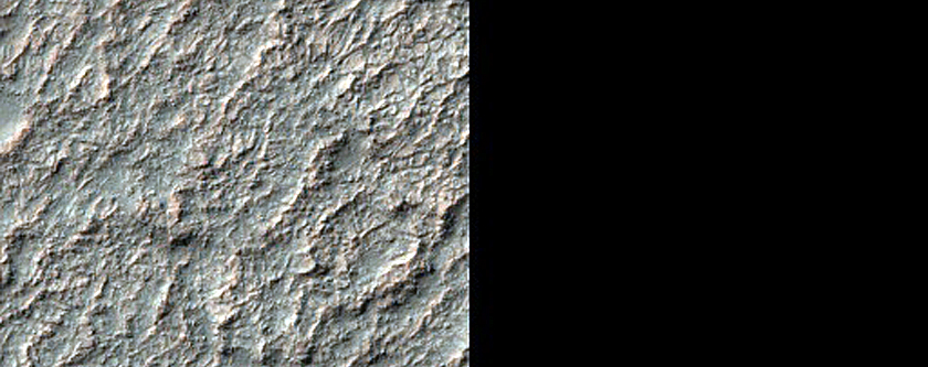 Diverse Bedrock on Terra Sabaea Crater Floor