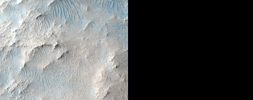 Preserved Meanders in Jezero Crater Outlet