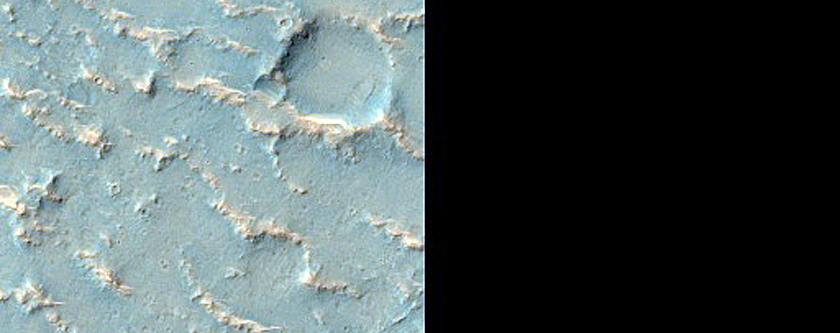 Phyllosilicates and Chloride in Terra Cimmeria
