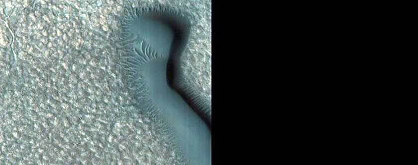 Dune Monitoring in Northern Mid-Latitude Crater