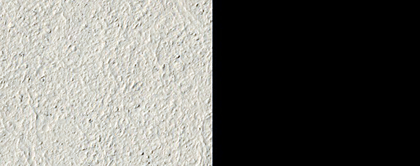 Rootless Cones in Amazonis Planitia