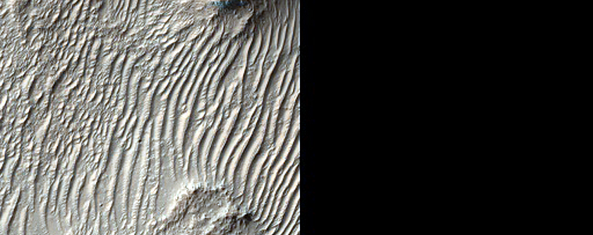 Possibly Olivine-Rich Terrain in Filled Crater Northwest of Hellas Planitia