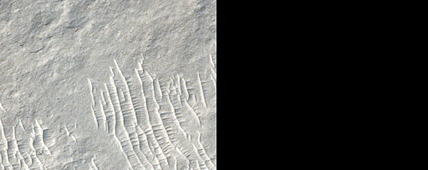 Sinuous Ridges in Aeolis Dorsa