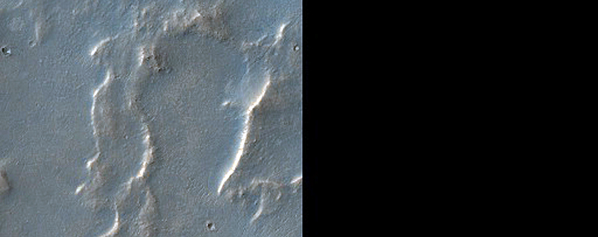 Sinuous Ridges and Layered Deposits on Crater Floor