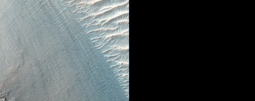 Diverse Compositions North of Oudemans Crater