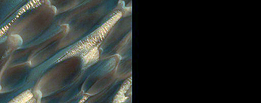 Mid-Erg Dunes in Abalos Undae