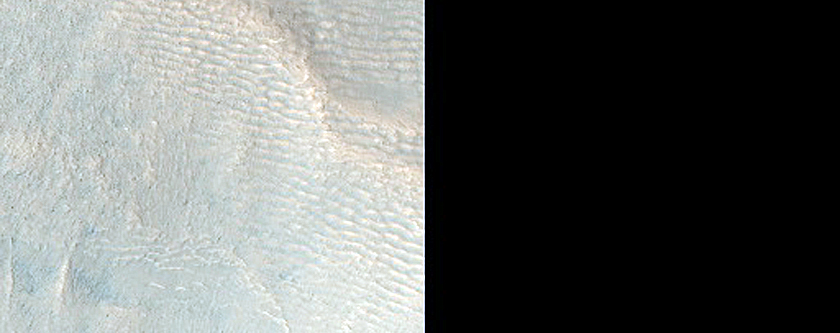 Layering in Crater Walls and Gullies with Bright Deposits